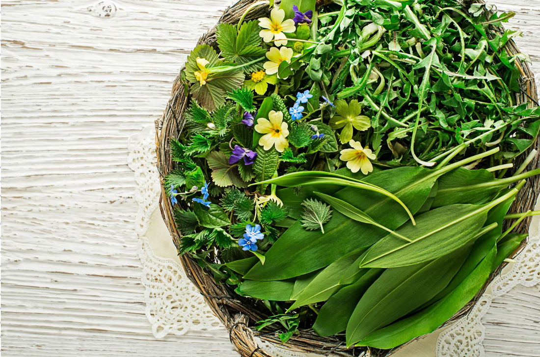 The Reason for a Spring Gentle Cleanse