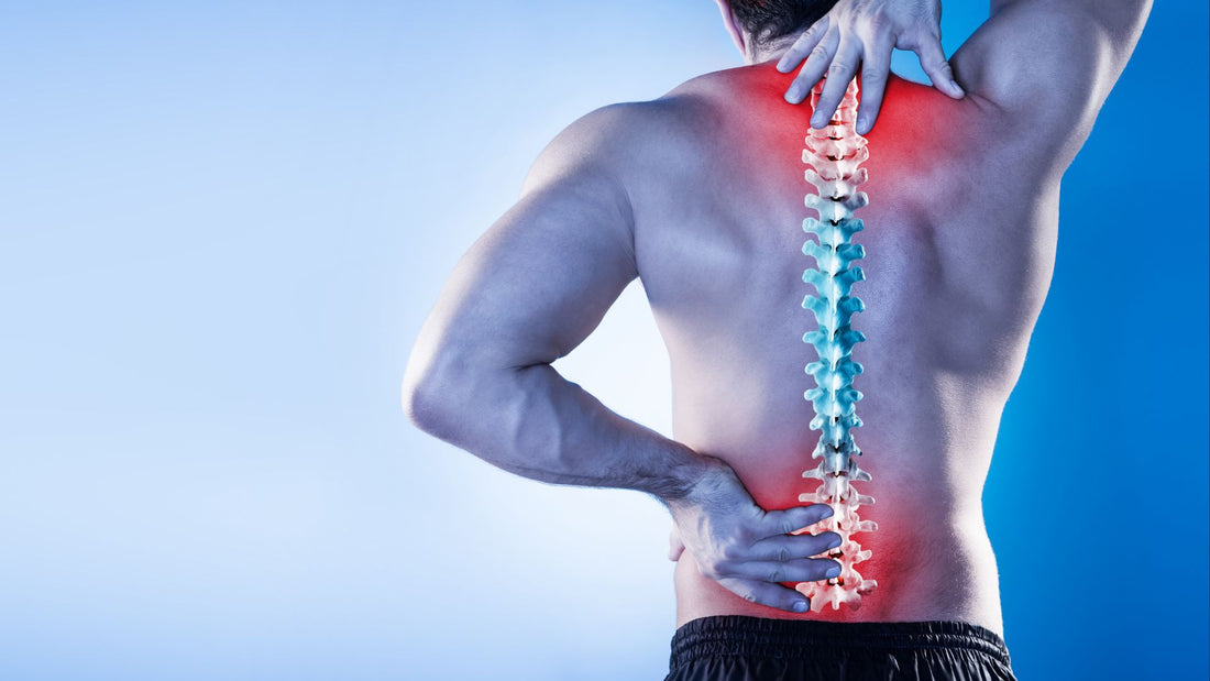 Postural Assessments in Personal Training